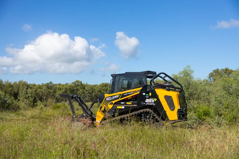 Cleared access area after mulching