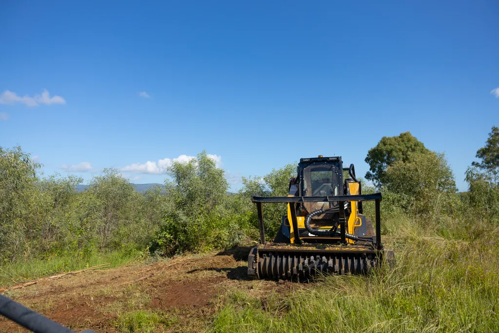 Before-and-after style site photo showing cleared vegetation