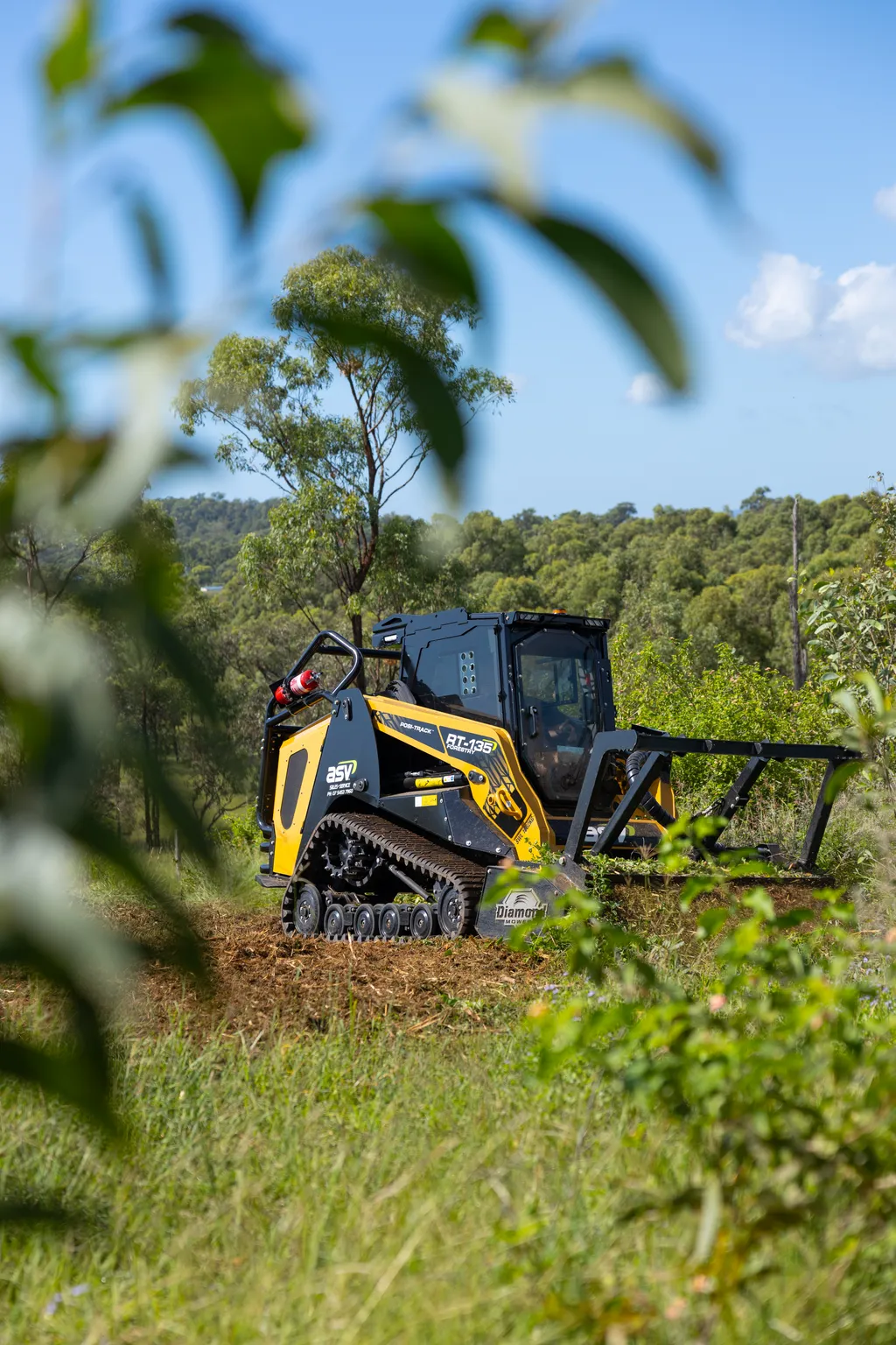 Invasive species management