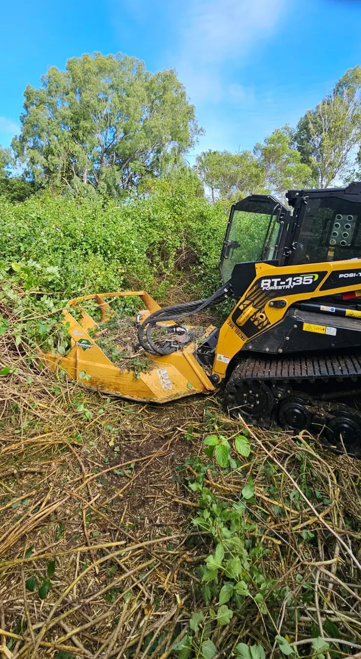 ASV posi track with brush cutter attachment clearing dense regrowth