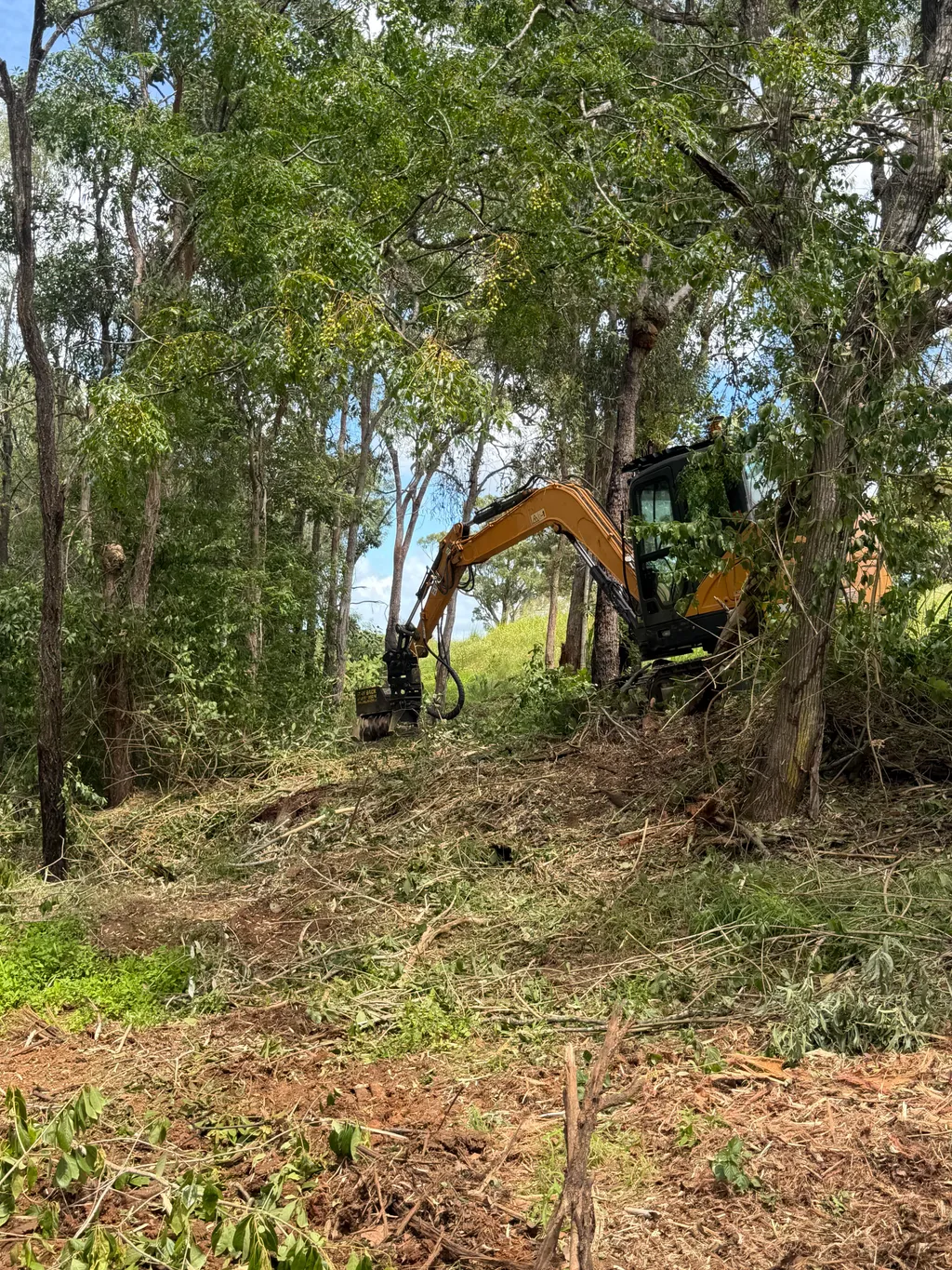 Excavator mulcher reaching into dense bush