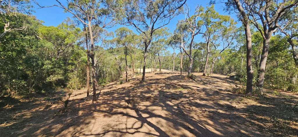 Inverness property — open access trail through trees after clearing