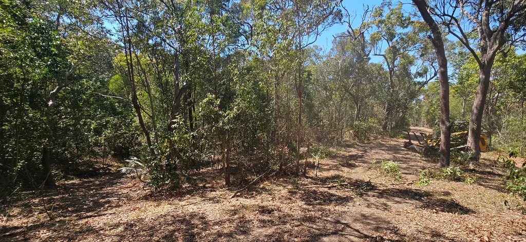 Inverness property — overgrown bushland before clearing
