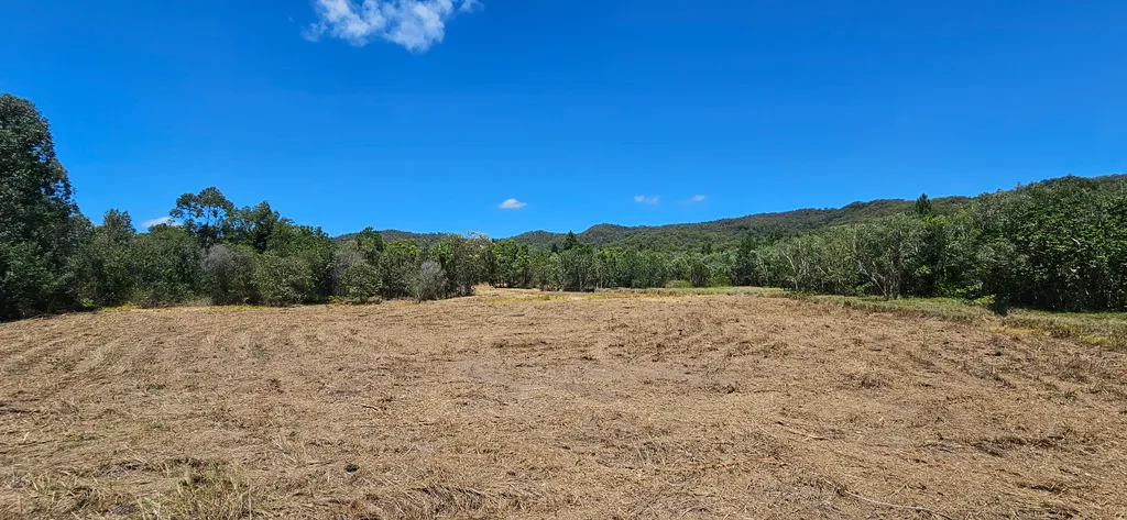 Same paddock cleared open with mountain backdrop visible